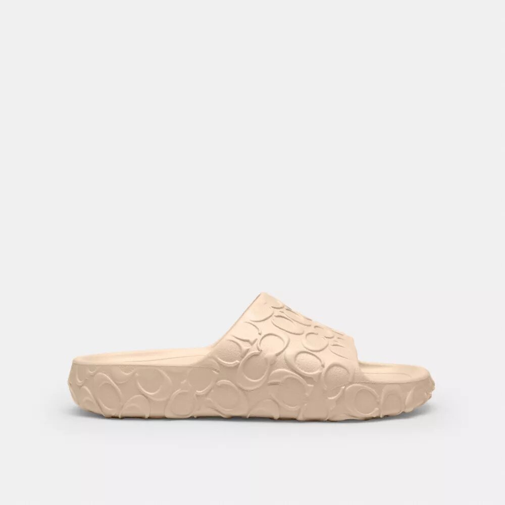 Bay Slide in Signature