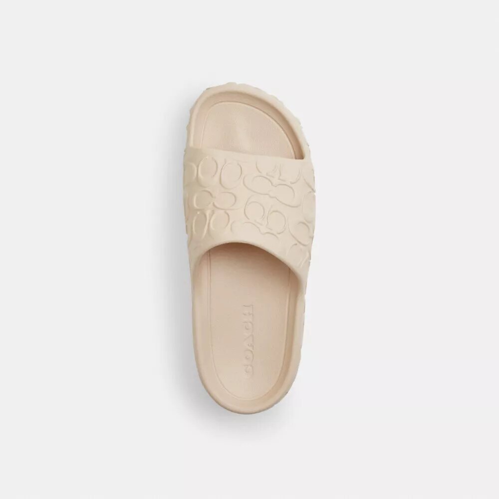 Bay Slide in Signature