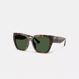 Übergroße Cat-Eye-Sonnenbrille
