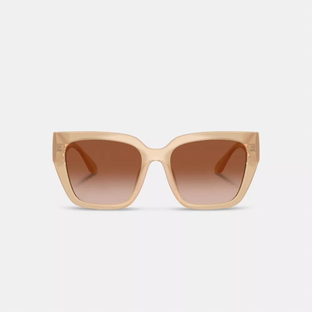 Übergroße Cat-Eye-Sonnenbrille