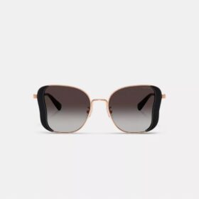 C Hardware Metall-Sonnenbrille im Schmetterlings-Quadrat-Design