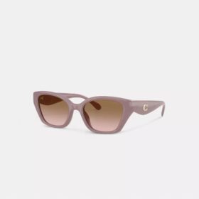C-Metallbeschläge – quadratische Cat-Eye-Sonnenbrille