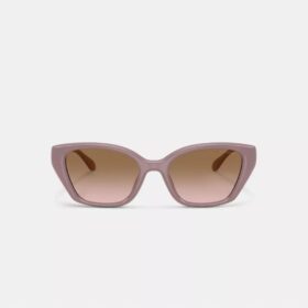 C-Metallbeschläge – quadratische Cat-Eye-Sonnenbrille