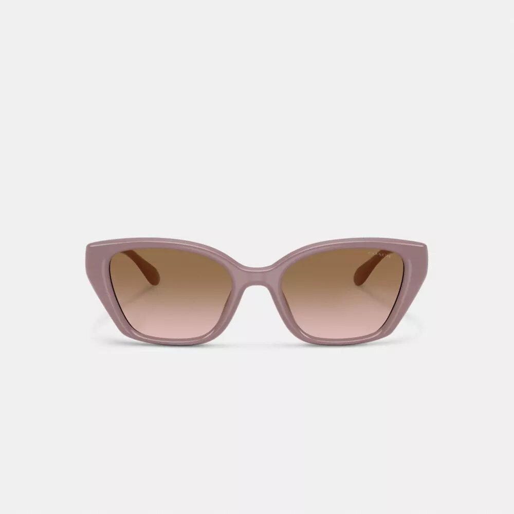 C-Metallbeschläge – quadratische Cat-Eye-Sonnenbrille