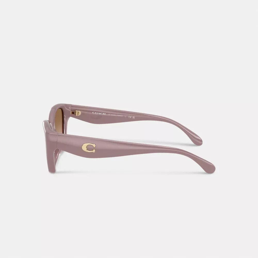 C-Metallbeschläge – quadratische Cat-Eye-Sonnenbrille