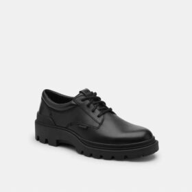 Cameron-Derbys