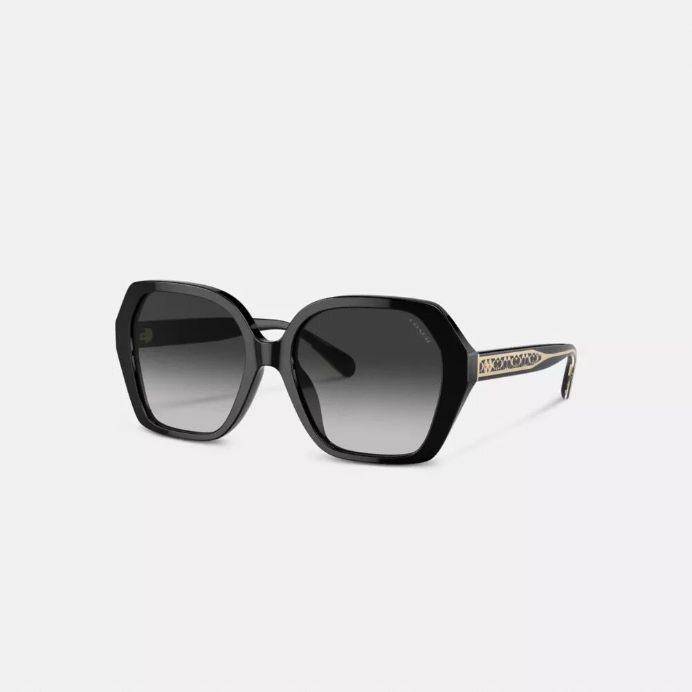Charakteristische geometrische quadratische Sonnenbrille im Ombra-Stil