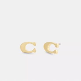 Charakteristische Ohrstecker