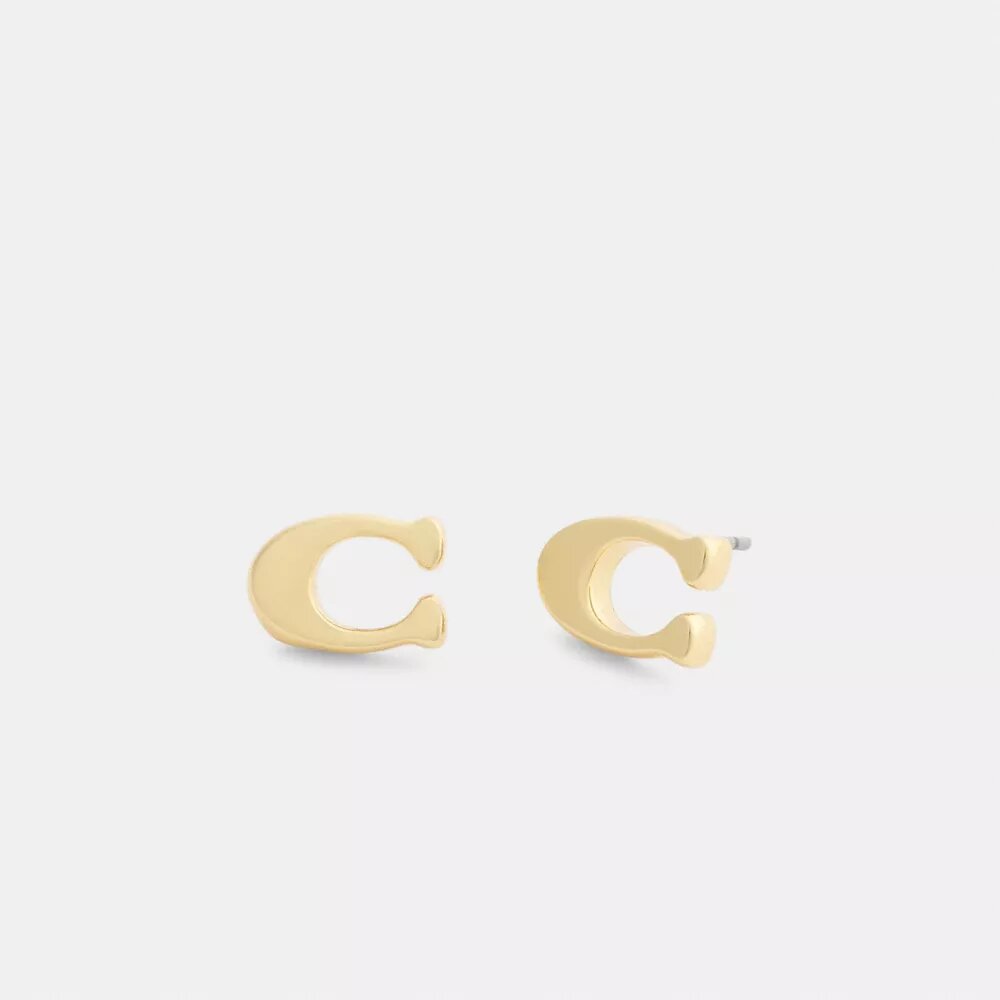 Charakteristische Ohrstecker