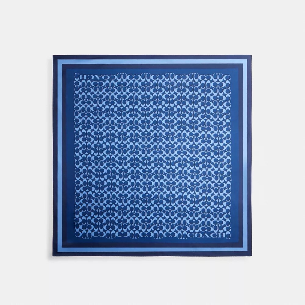 Charakteristischer quadratischer Seidenschal