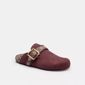 Clogs mit Schnalle