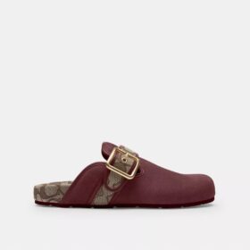 Clogs mit Schnalle