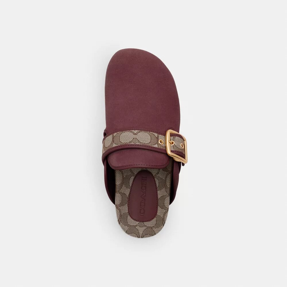Clogs mit Schnalle
