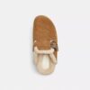 Clogs mit Schnalle im charakteristischen Design