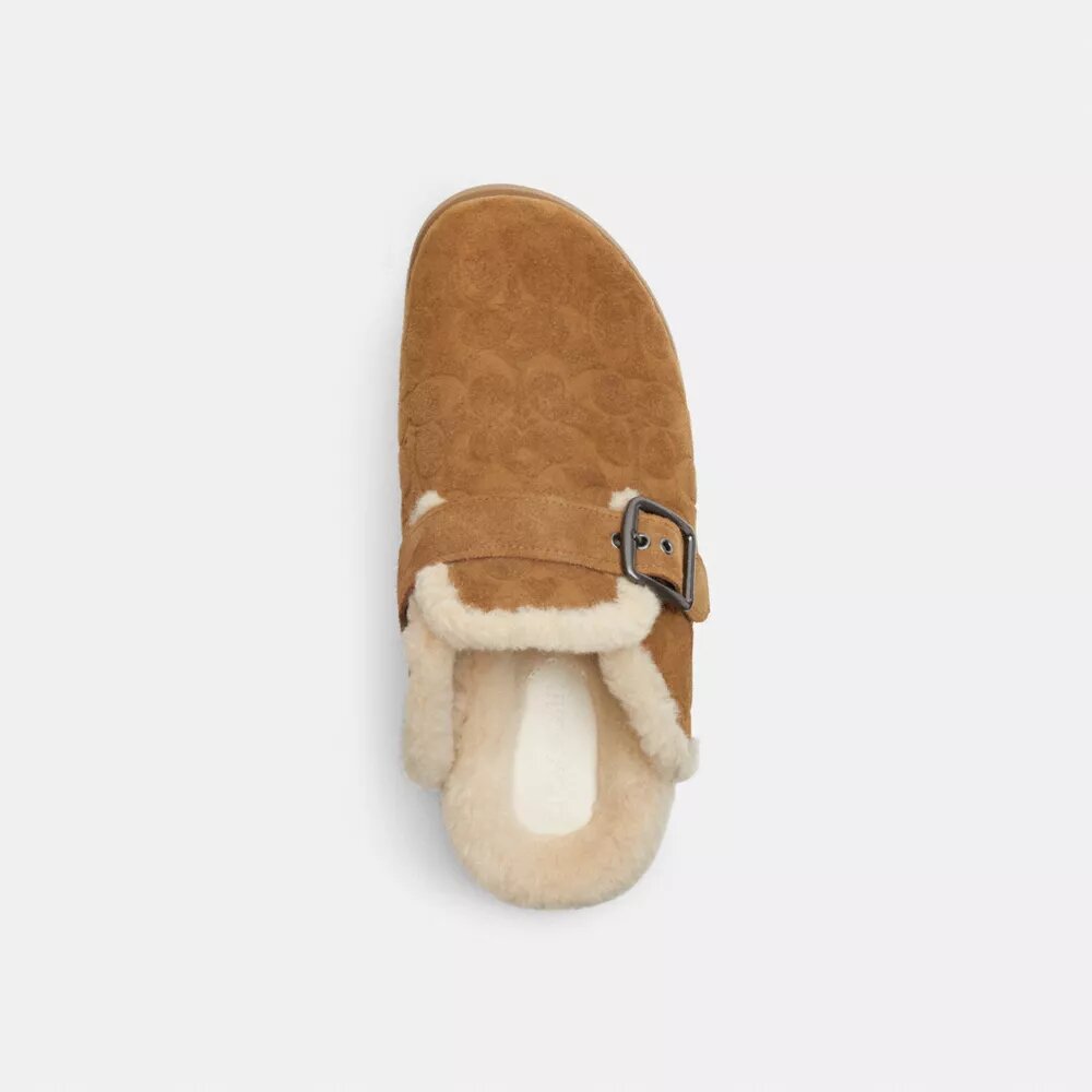 Clogs mit Schnalle im charakteristischen Design