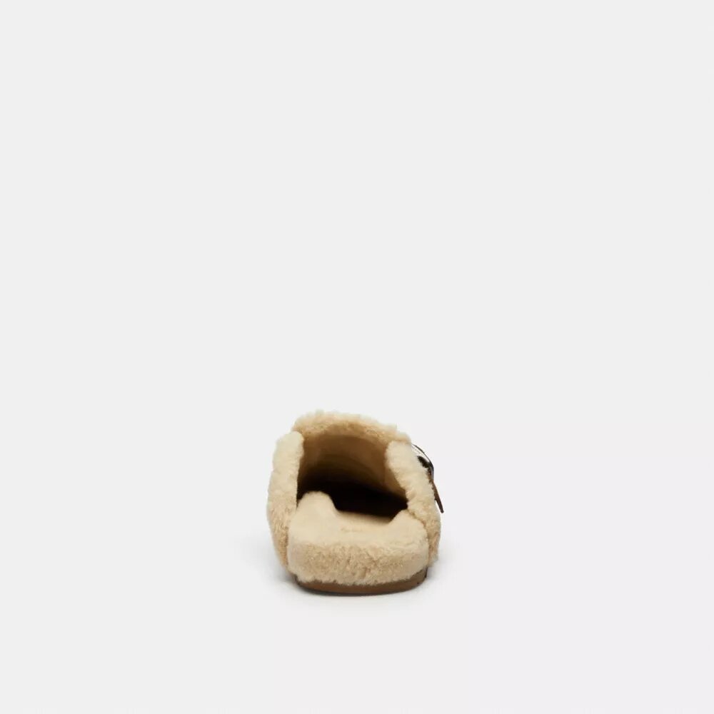 Clogs mit Schnalle im charakteristischen Design