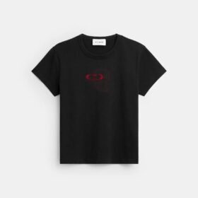 Coach-Oberteile