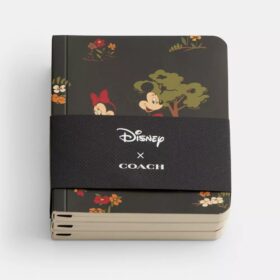 Disney X Coach Mini-Notizbuch-Set mit Mickey Mouse und Freunden