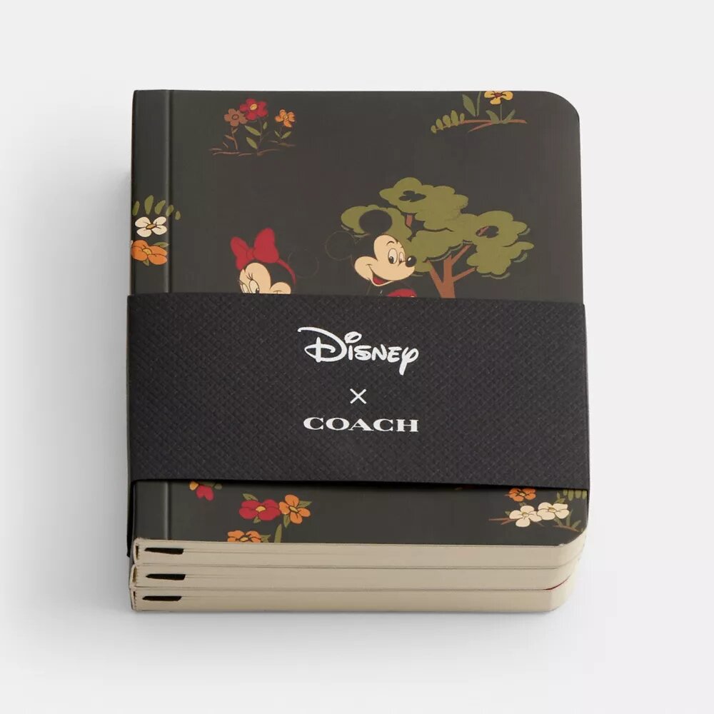 Disney X Coach Mini-Notizbuch-Set mit Mickey Mouse und Freunden