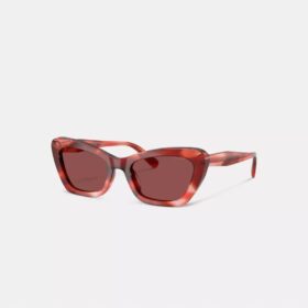 Draht-Cat-Eye-Sonnenbrille