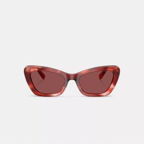 Draht-Cat-Eye-Sonnenbrille