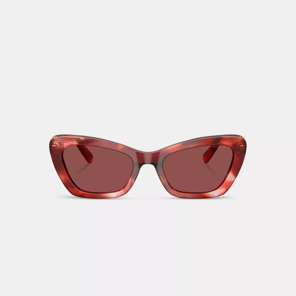 Draht-Cat-Eye-Sonnenbrille