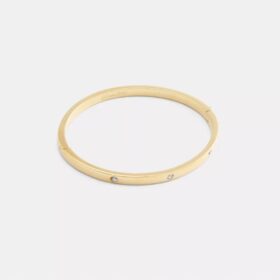 Essential-Armreif mit Scharnier