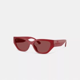 Geometrische Cat-Eye-Sonnenbrille