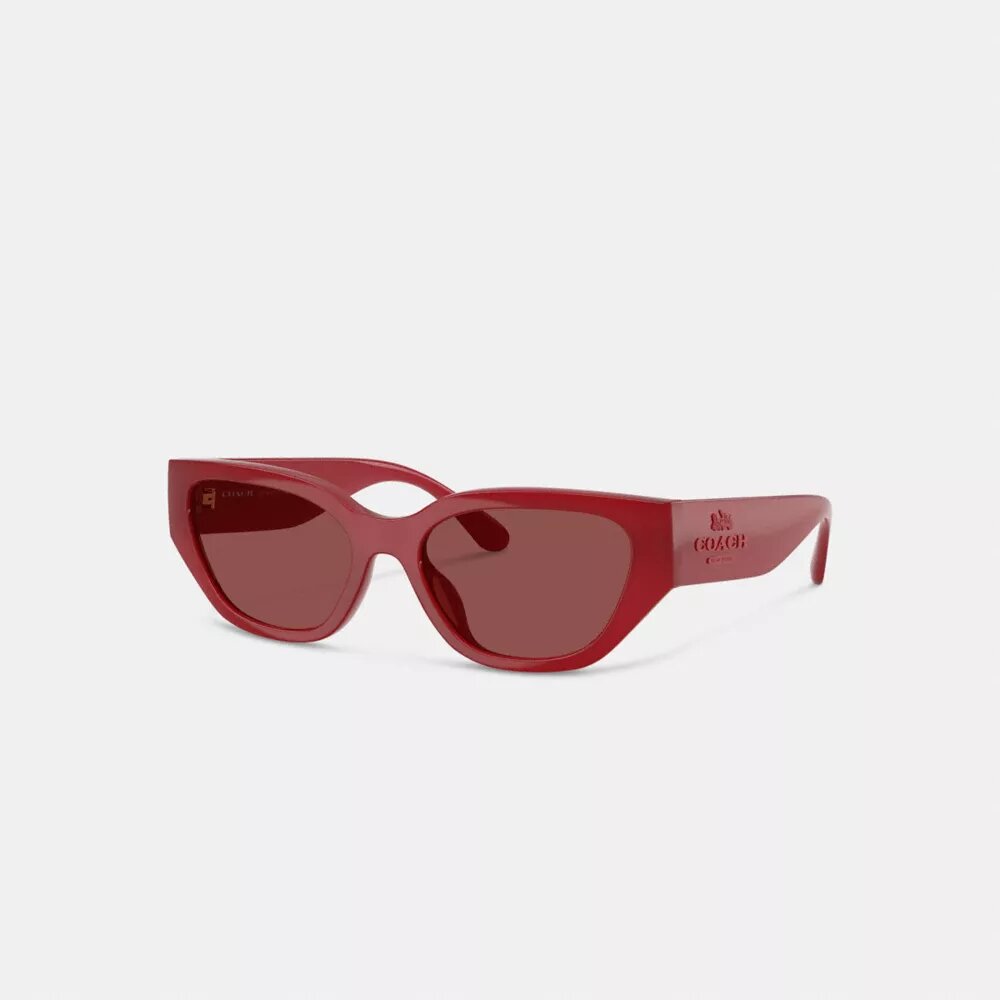 Geometrische Cat-Eye-Sonnenbrille