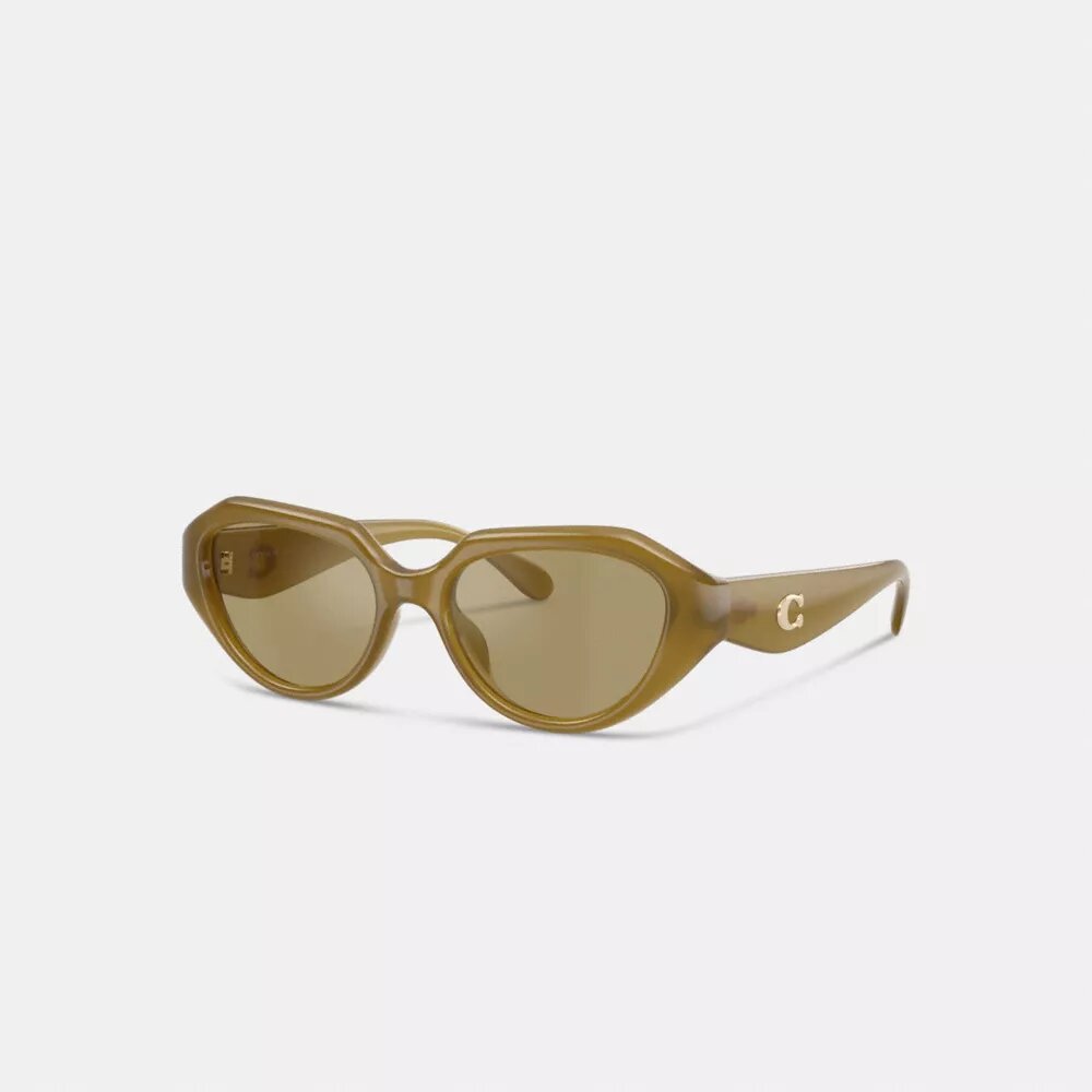 Geometrische Sonnenbrille mit C-Metallbeschlägen