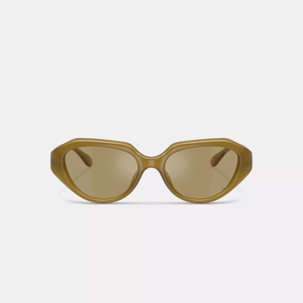 Geometrische Sonnenbrille mit C-Metallbeschlägen