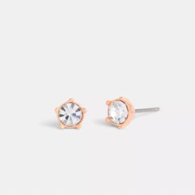 Halo-Ohrstecker mit Teerose