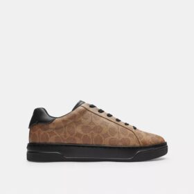 High-Top-Sneaker aus Signature Canvas