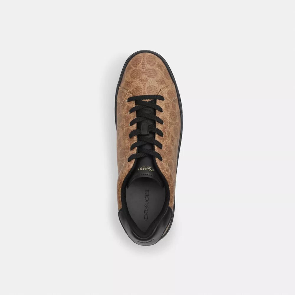 High-Top-Sneaker aus Signature Canvas