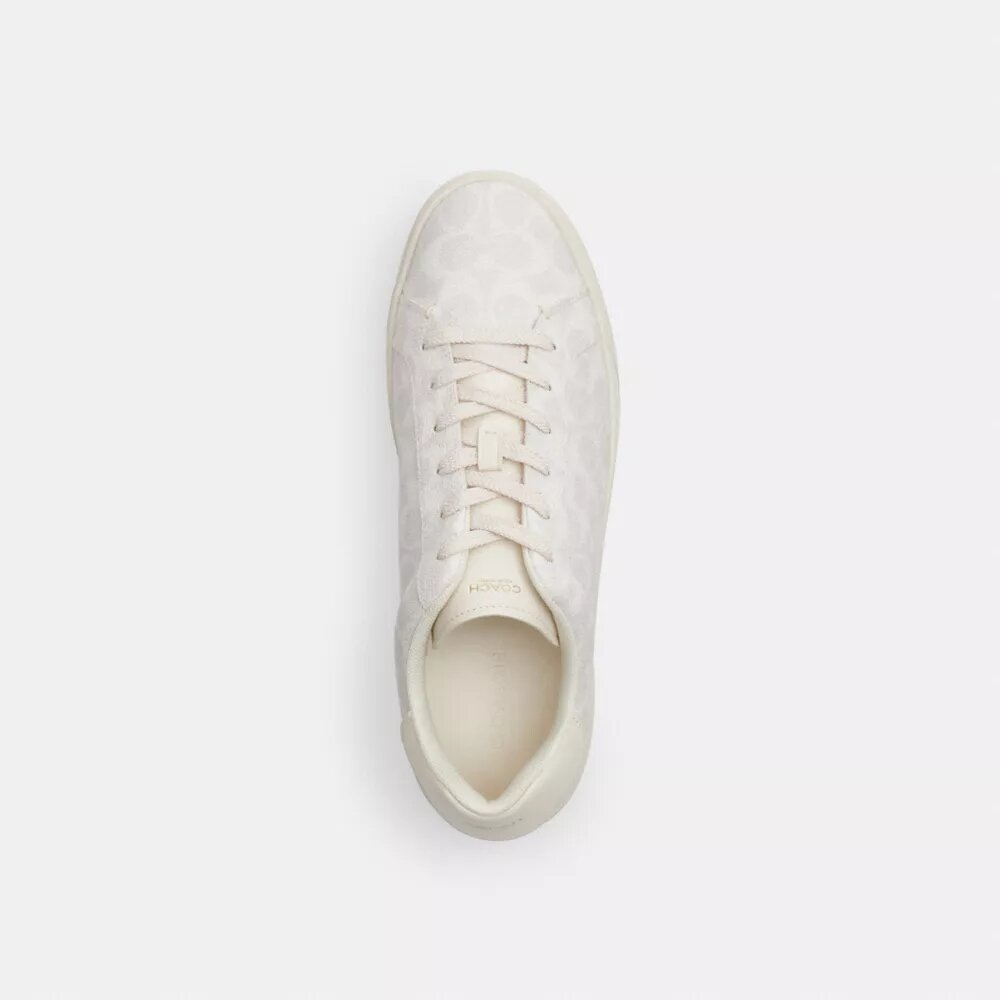 High-Top-Sneaker aus Signature Canvas