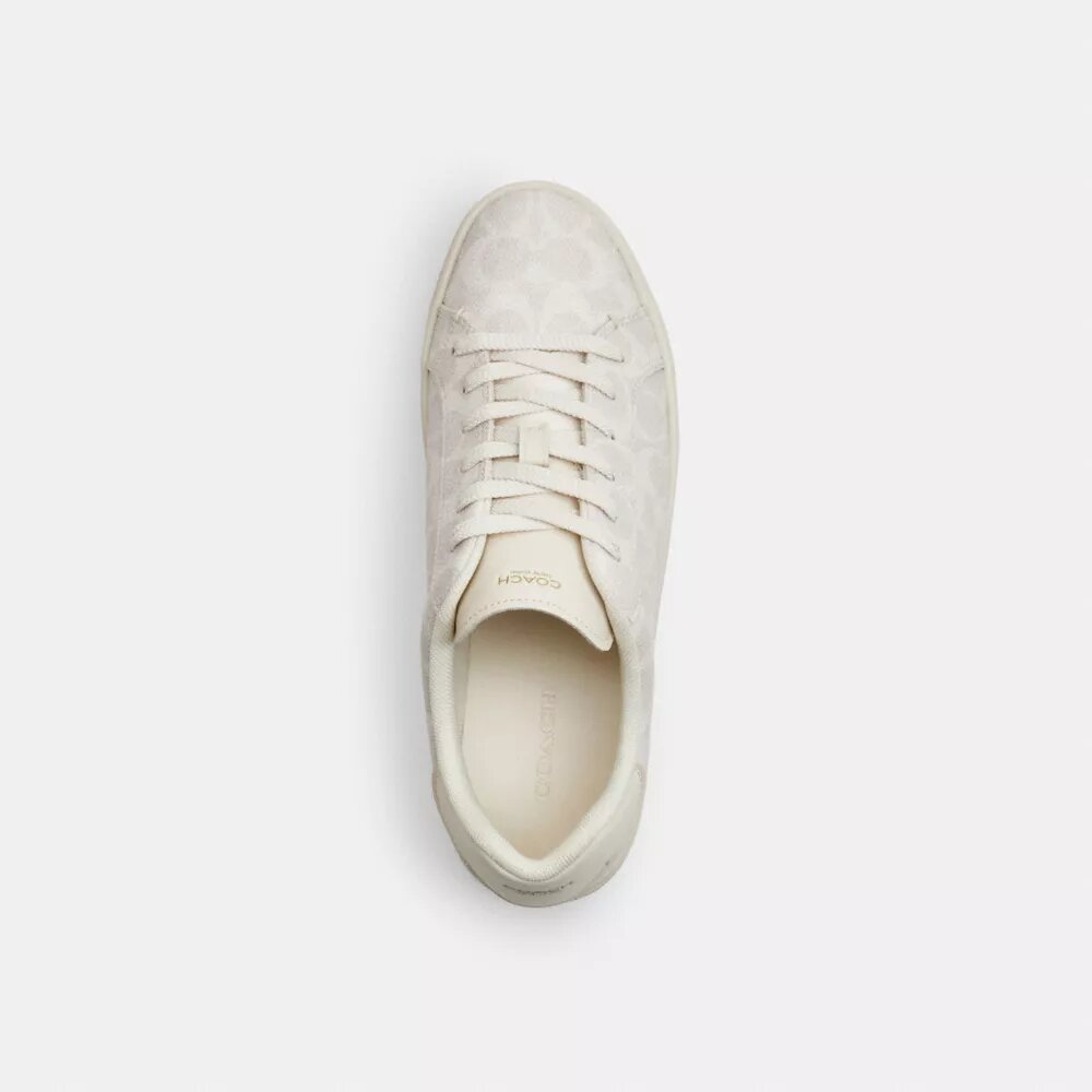 High-Top-Sneaker aus Signature Canvas
