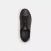 High-Top-Sneaker aus Signature Canvas