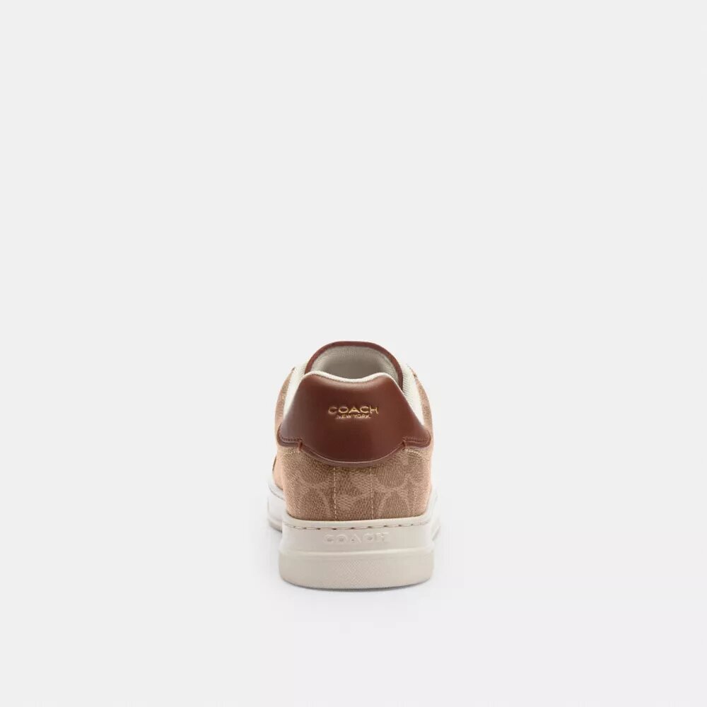 High-Top-Sneaker aus Signature Canvas