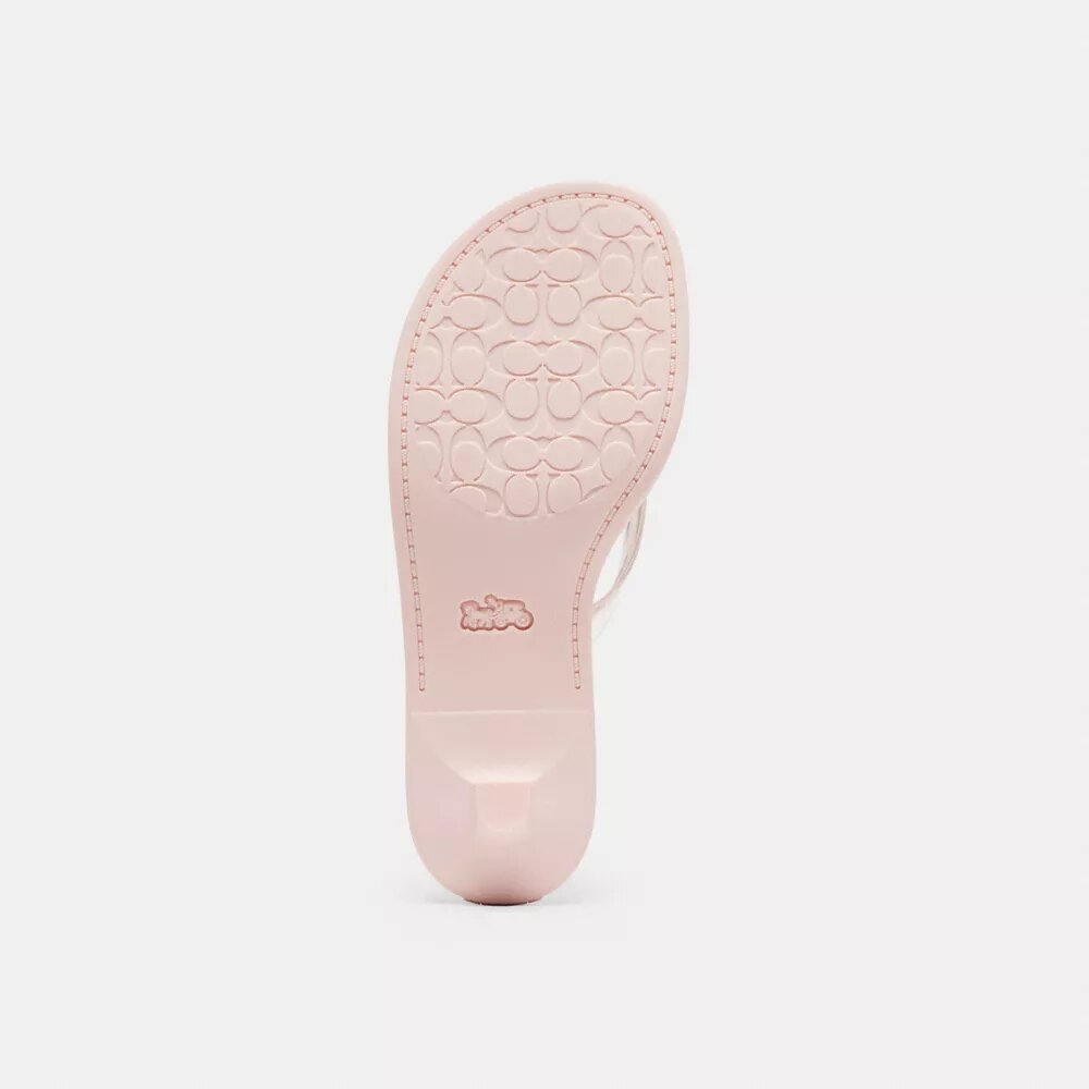 Jelly-Sandalen im charakteristischen Stil