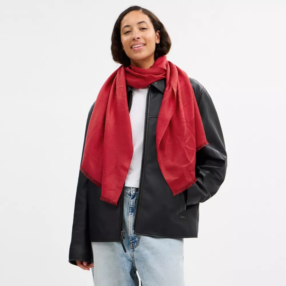 Jumbo-Horse and Carriage-Decke
