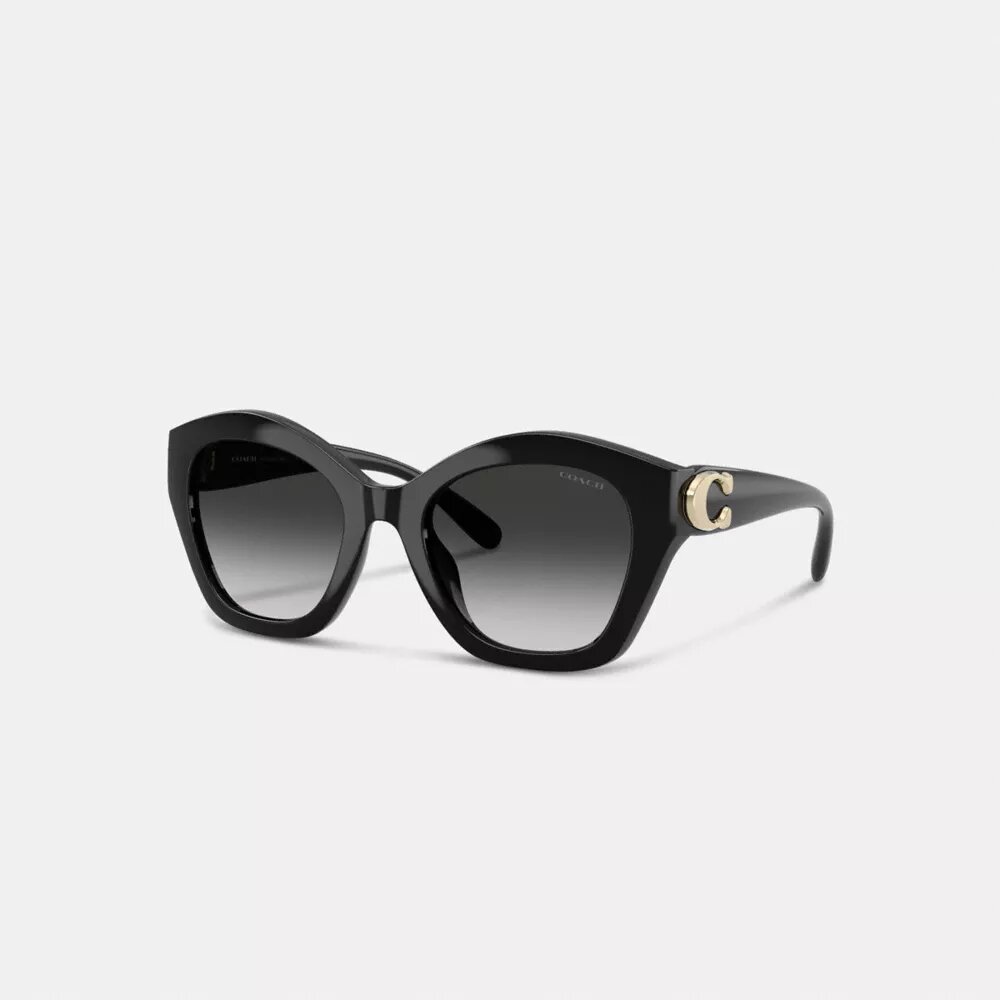 Maxi Sculpted C – Oversized-Sonnenbrille im geometrischen Design