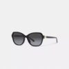 Quadratische Sonnenbrille mit Scharnier und Horse and Carriage-Motiv