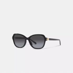 Quadratische Sonnenbrille mit Scharnier und Horse and Carriage-Motiv