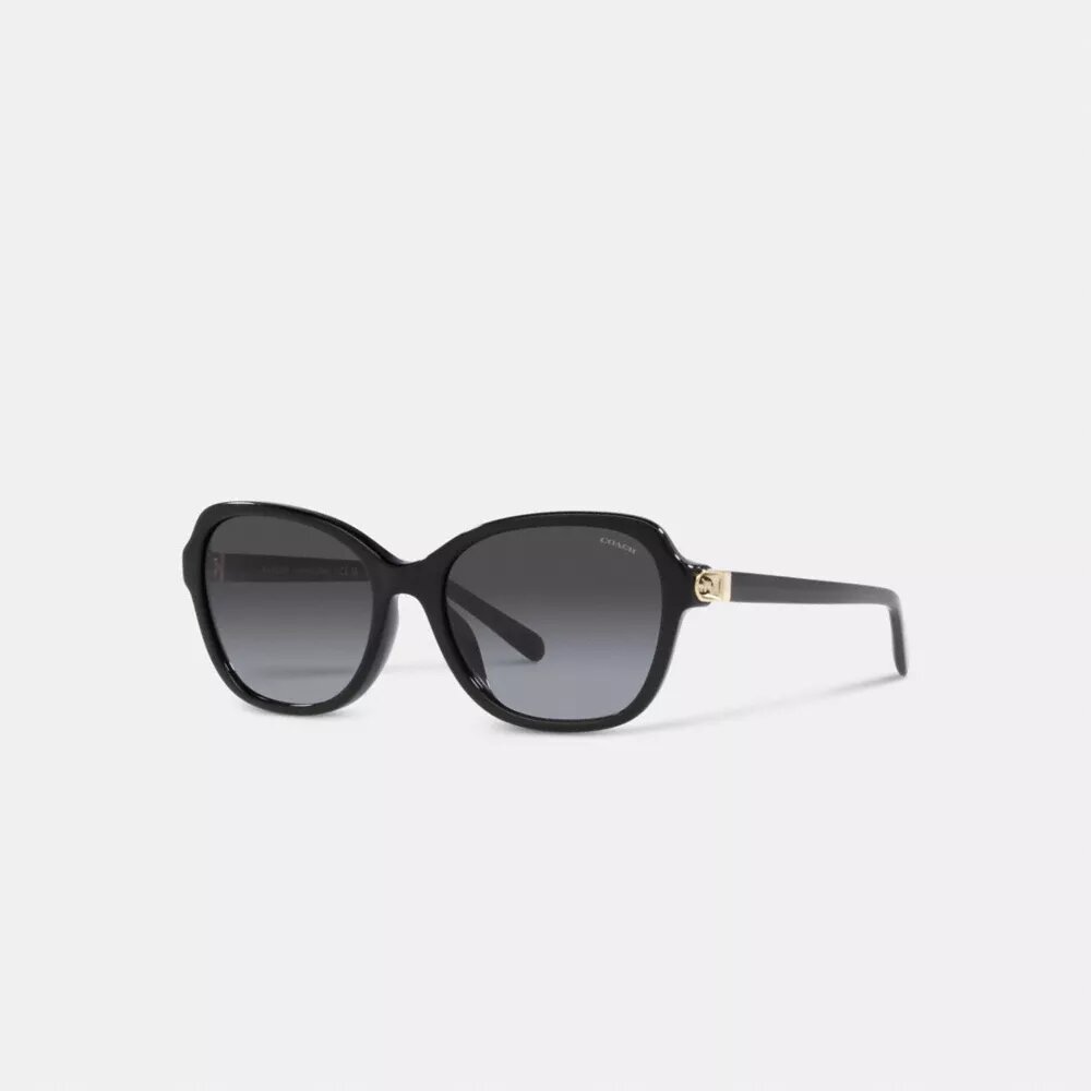 Quadratische Sonnenbrille mit Scharnier und Horse and Carriage-Motiv