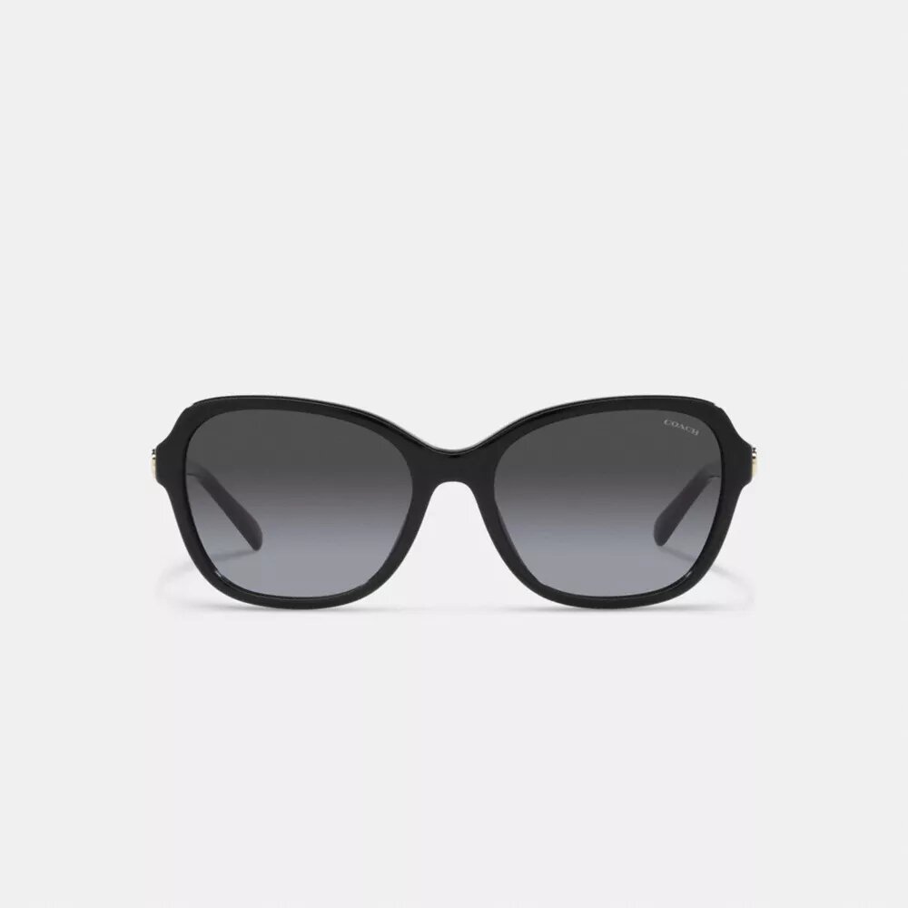 Quadratische Sonnenbrille mit Scharnier und Horse and Carriage-Motiv