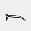 Quadratische Sonnenbrille mit Scharnier und Horse and Carriage-Motiv