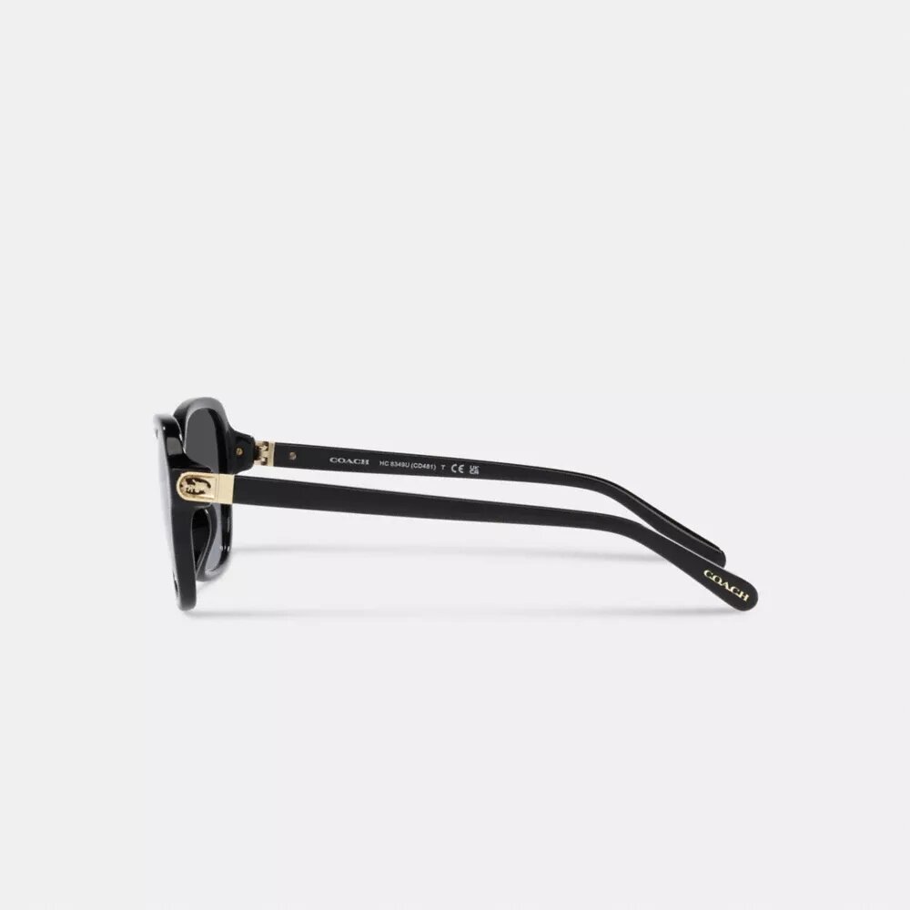 Quadratische Sonnenbrille mit Scharnier und Horse and Carriage-Motiv