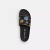 Rexy 10. Geburtstag – Pool-Slides mit Aufkleber-Print
