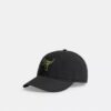 Rexy-Patch-Baseballkappe