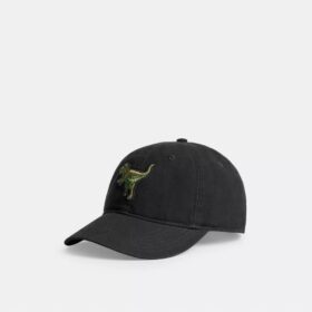Rexy-Patch-Baseballkappe